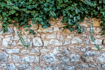 Part of the stone wall. Background. texture.