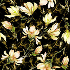 Fototapety  Żółte kwiaty magnolii na gałązce na czarnym tle. Wzór. Malarstwo akwarelowe.