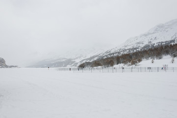 Obraz premium Maloja, Oberengadin, Engadin, Silsersee, Winterlandschaft, Winter, Wintersport, Langlauf, Winterwanderweg, Graubünden, Alpen, Schweiz