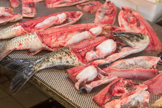 Freshly cut fish at the market counter of Hong Kong closeup photo