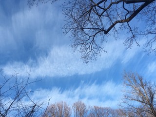 winter sky with high clouds