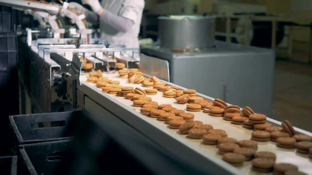 Two uneven rows of biscuits are moving along the conveyor belt in a factory facility