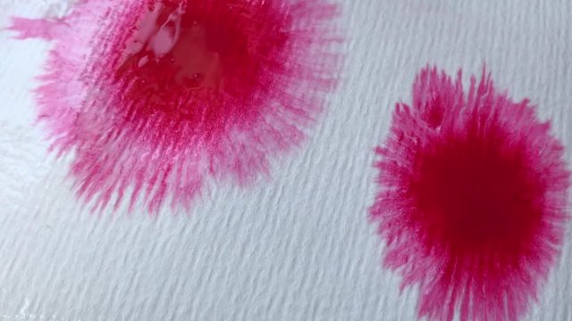 Beautiful watercolor ink drops on white paper, paint bleed Bloom, with red circle organic flow expanding, splatter spreading on clear background.