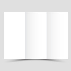 Business Brochure. Flyer Design. Leaflets 3 fold Template. Cover Book and Magazine.