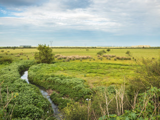 A view of the pampa biome in the border between Brazil and Argentina