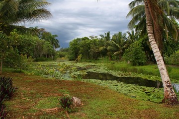Obraz premium Guamá