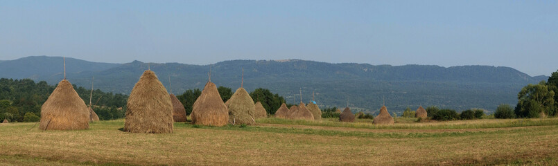 Rumunia, Maramuresz - krajobraz ze stogami siana i górami w tle © Iwona