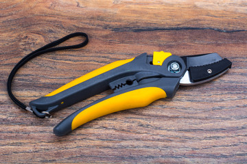 Secateurs for branches of trees and shrubs, garden tools