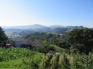 Vigneti- Vino-Panorama