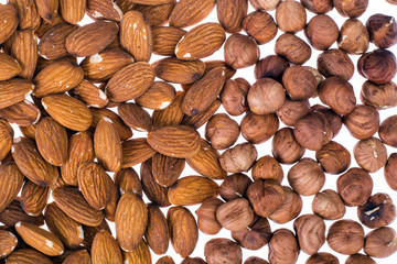 Almond, concept of vegetarianism