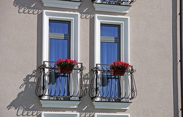 two window with flowers
