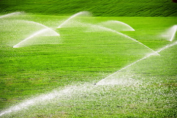 green  field  with irrigation