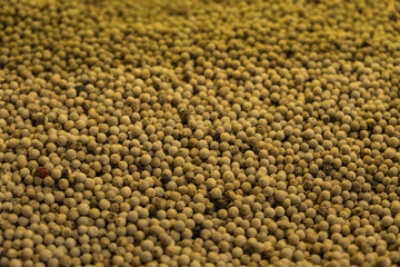 Pile of white whole peppercorns background, spices, oriental cooking