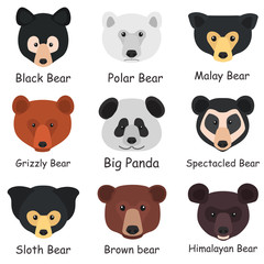 Set of different bear muzzles with names color flat icons