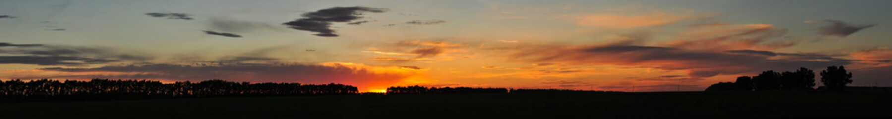 Fototapeta premium Sunset sky above the field.