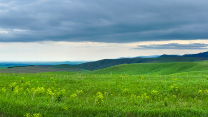 Green meadows on backround of mountains. Altai, Russia