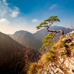 Gordijnen Sokolica peak in Pieniny mountains in autumn, Poland © shaiith