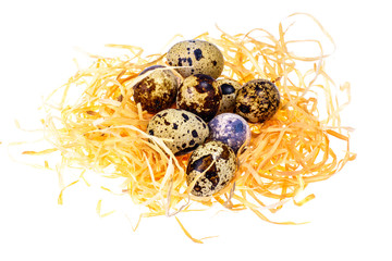 Obraz premium Symbols of the holiday Easter-nest, eggs, cookies