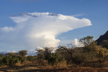 Tsavo West National Park in Kenya