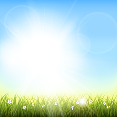 Fototapeta na wymiar Sunny natural background with vector sun and grass.