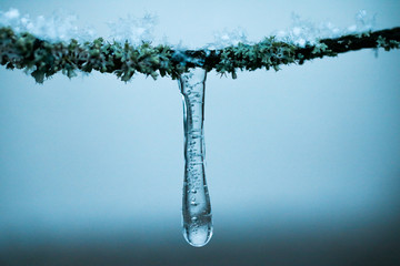 Makro Eiszapfen