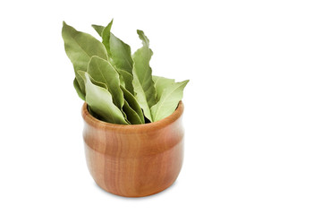 Dried aromatic bay leaves in a wooden bowl isolated on white. Photo of laurel bay harvest for eco cookery business. Antioxidant kitchen herbs. Spices of bay leaf in rural style.