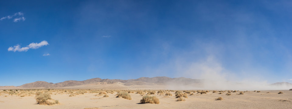 Wide expanse of brush growing in the open sand of the Mojave Desert in southern California.