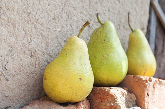 Ripe yellow pears on stones
