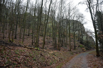 Zacken am Feldberg, Taunus