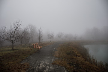 Empty bench at park near pond by foggy day, minimalistic cold season scene. bench at the lake in the fog in the forest. Bench near lake with fog. Azerbaijan Nature.