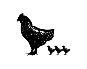 Old Chicken and Chicks Animal Sign Symbol Livestock Logo Silhouette Vector