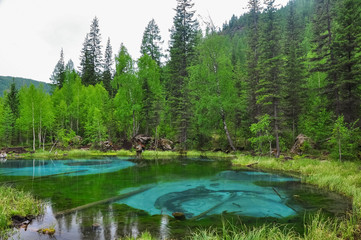 Geyser lake in the forest. Altai, Russia