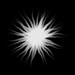Vector White Round Radial Ophiura Creature with Tentacles isolated on Black - Generative Art  
 - obrazy, fototapety, plakaty