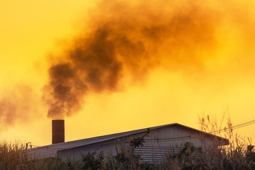 Fototapeta na wymiar black smoke from factory smoke stack on sunset