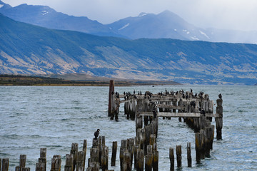 The Old Pier (Muelle Historico) in Almirante Montt Gulf in Patagonia - Puerto Natales, Magallanes...