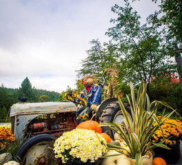 harvest and autumn display