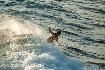 Obraz premium Surfer deep into a crashing wave.