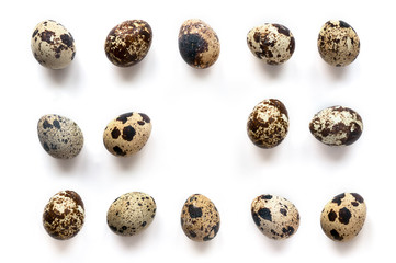 Obraz premium Isolated Quail Eggs On White Background. Copy space in center area. Top view. 