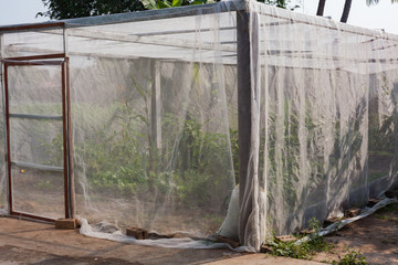 The Greenhouse mesh