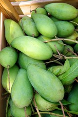 green mangoes in thailand market