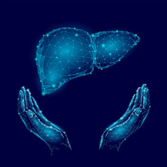 World Hepatitis Day awareness 28 July liver health. Medicine low poly model human organ hand hold polygonal geometric vector illustration - obrazy, fototapety, plakaty