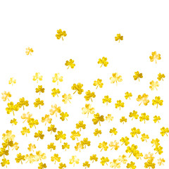 Shamrock background for Saint Patricks Day. Lucky trefoil confetti. Glitter frame of clover leaves.	 Template for gift coupons, vouchers, ads, events. Celtic shamrock background.