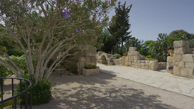 Garden on Mount Tabor