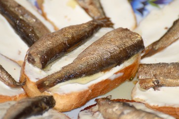 Sandwiches with melted cheese and fish.