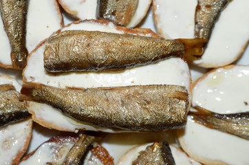 Sandwiches with melted cheese and fish.