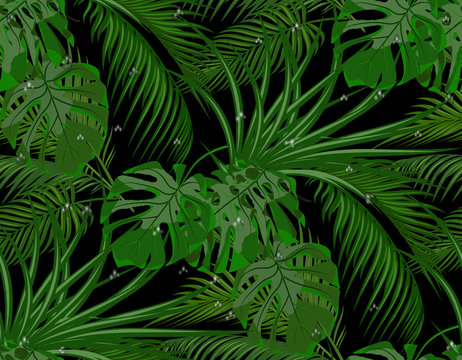 Jungle. Green leaves of tropical palm trees, monstera, agave. Drops of dew, rain. Seamless. Isolated on black background. illustration