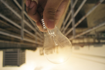 The Light Bulb Represent The  Creativity