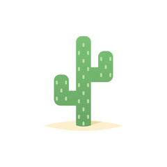 Desert cactus icon vector