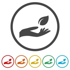 Leaf in hand icon, Leaf on the hand, 6 Colors Included