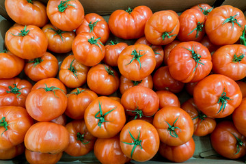 cherry tomatoes on the market